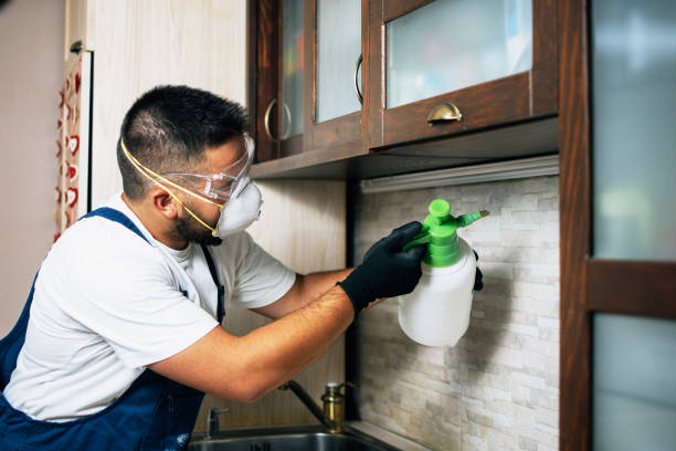 Best Mosquito Control Services  in Oak Ridge, FL
