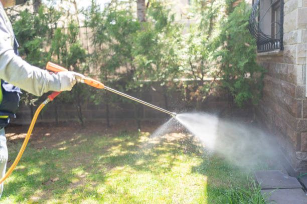 Best Local Pest Control Services  in Oak Ridge, FL