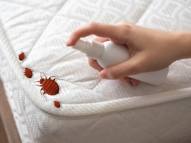 Best Commercial Pest Control Services  in Oak Ridge, FL