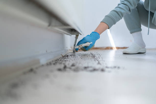 Best Pest Prevention Services  in Oak Ridge, FL